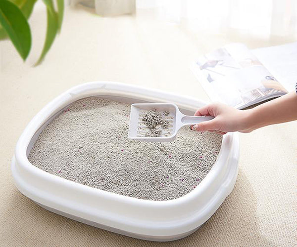 How does cat litter work?