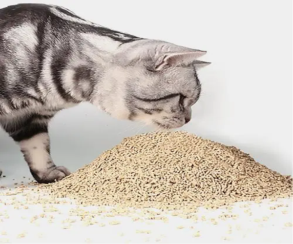 How often should the cat litter be changed？