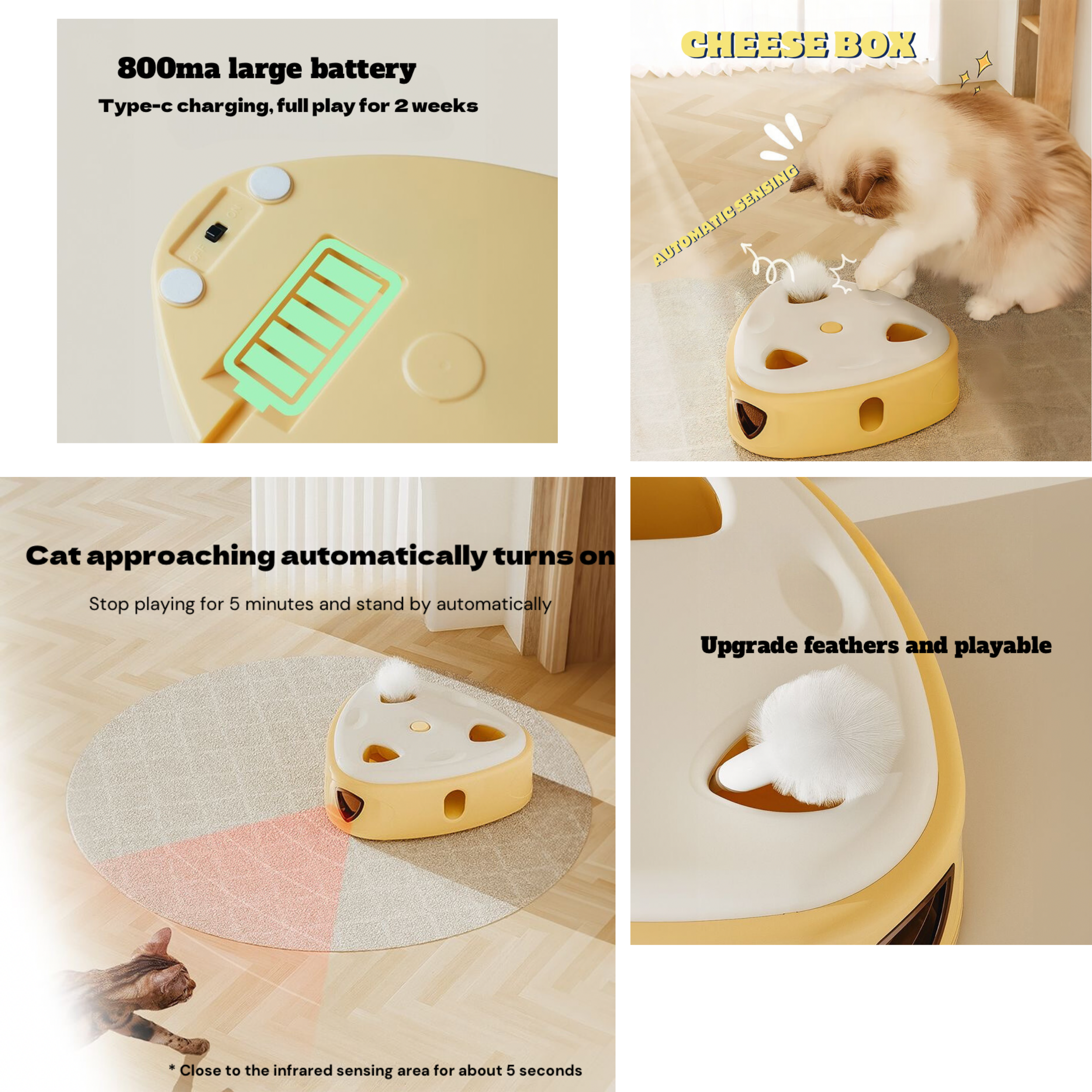 Cat supplies package toys litter box tofu litter